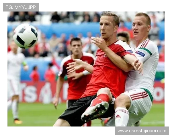 世界杯比赛规则详细解析，全面介绍比赛流程与裁判判罚标准